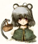  animal_ears bad_id bad_pixiv_id basket blush grey_hair mouse_ears mouse_tail nazrin red_eyes solo soratsuki_kakeru tail touhou 