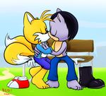  bench clothing eyes_closed fan_character footwear gloves kissing miles_prower open_shirt pants park redkelv shirt shoes sonic_(series) 