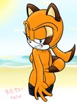  4_fingers beach blue_eyes breasts butt clothing female looking_at_viewer marine_the_raccoon pants redkelv seaside solo sonic_(series) 