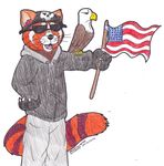  avian beanie beard bird black_hair black_hoodie clothed clothing eagle facial_hair hair hat hoodie jeans male mammal marvel matt_(two_best_friends_play) red_panda simple_background solo standing stars_and_stripes the_punisher two_best_friends_play united_states_of_america 