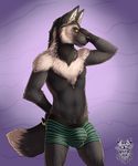  2015 anthro black_fur black_lips black_nose boxer_briefs bulge canine clothing connor_(contron) fur inviting male mammal presenting smile solo standing underwear vallhund wolf yellow_eyes 