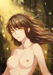  akari_kuma bad_id bad_pixiv_id breasts brown_hair collarbone lips long_hair medium_breasts nipples nude original solo upper_body yellow_eyes 