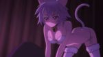  1girl animated animated_gif breasts cat_ears cat_tail catgirl infinite_stratos panties sarashiki_tatenashi solo tail underwear 