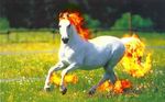  epic fire horse lowres nintendo photo photoshop pokemon ponyta rapidash realistic 