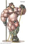  anthro bear biceps big_muscles black_hair black_nose boots braford brown_fur bulge clothed clothing facial_hair fingerless_gloves footwear fur gloves grey_eyes hair half-dressed huge_muscles looking_at_viewer male mammal musclegut muscular nipples pecs penis pole sarge_(braford) shorts solo standing suspenders thong topless vein 