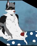  2015 animal_genitalia anthro black_fur blue_background boxers_(clothing) canine canine_penis chest_tuft clothed clothing coy digital_media_(artwork) fur grey_fur half-dressed looking_at_viewer male mammal multicolored_fur penis penis_tip pinup pose raccoon reclining sheath simple_background sitting solo topless tuft underwear white_fur wolfpsalm 