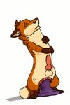  2015 abdominal_bulge anal anal_insertion anal_masturbation anal_penetration animated anus balls canine dildo dildo_sitting erection eye_roll fox hair huge_dildo insertion knot knotted_dildo large_insertion male mammal masturbation nude open_mouth penetration penis ridiculous_fit secretden self_hug sex_toy solo 