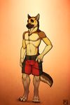  abs anthro canine chest_tuft clothed clothing dog fur german_shepherd half-dressed male mammal pecs solo spudz topless tsaiwolf tuft 