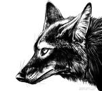  2015 ambiguous_gender blackteagan canine coyote feral mammal sketch solo 