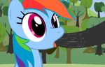  2015 animated blinking clip_clop disembodied_penis equine erection fellatio female feral friendship_is_magic hair horse male male/female mammal multicolored_hair my_little_pony oral outside penis pony rainbow_dash_(mlp) rainbow_hair sex solo_focus tree 