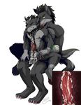  anal anal_penetration anthro arch_noven balls canine chatonbleu duo father father_and_son incest internal male male/male mammal parent penetration penis son wolf 