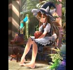  alternate_hair_color apron bad_id bad_pixiv_id barefoot black_dress book book_stack bow brown_hair bug butterfly chair dikko dress full_body grimoire hair_bow hat insect kirisame_marisa long_hair looking_at_viewer pillarboxed plant potted_plant puffy_sleeves shirt sitting solo table tile_floor tiles touhou waist_apron witch_hat yellow_eyes 