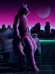  anthro canine car city cityscape dark delorean dennis_(hotline_miami) digitigrade dream_and_nightmare grid grid_pattern gun handgun jeans letterman_jacket male mammal moon neon night pistol ranged_weapon solo star vehicle weapon wolf 