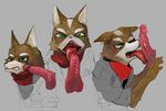  2015 anthro balls blush brown_fur canine clothing digital_media_(artwork) disembodied_penis duo ears_down erection eyebrows fellatio fox fox_mccloud fur green_eyes grey_background humanoid_penis jacket licking liteu male male/male mammal nintendo one_eye_closed oral penis penis_lick precum sex simple_background solo_focus star_fox teeth tongue tongue_out vein veiny_penis video_games white_fur 