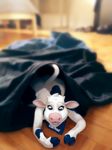  bandanna blackshirtboy blue_eyes bovine cattle clothing female hooves lactaid_cow mammal shrinking solo transformation wide_hips 