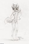  2015 breasts canine coonkun female fox mammal nude pussy sketch solo 