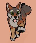  2015 abstract_background ambiguous_gender black_fur brown_fur canine coyote cute feral fur green_eyes grey_fur looking_at_viewer mammal ochre open_mouth pawpads paws puffy_tail royalty_(artist) running smile solo tongue tongue_out 