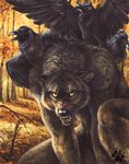  anthro avian bird blotch canine crow forest male mammal solo tree were werewolf wolf 