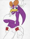  anthro avian big_breasts bird breasts female king-cheetah looking_at_viewer seth65 smile solo sonic_(series) sonic_riders under_boob wave_the_swallow 