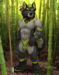  2018 4_toes 5_fingers akita animal_genitalia anthro auraakita bamboo camp canid canine canis claws day digitigrade dirty dog front_view full_portrait fur fuzzy green_eyes green_fur green_hair grey_fur hair jewelry looking_at_viewer male mammal melee_weapon necklace nude outside paws penis planted_weapon polearm sheath short_hair solo spear standing toes tribal weapon 