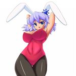  animal_ears bad_id bad_pixiv_id bunny_ears chuuten_(clam_chowder) fishnet_pantyhose fishnets merlin_prismriver pantyhose solo touhou 