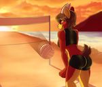  anthro beach brown_fur brown_hair butt clothed clothing female fur green_eyes hair half-closed_eyes hybrid inner_ear_fluff looking_at_viewer looking_back multicolored_fur no_pupils okka outside seaside smile solo two_tone_fur volleyball 