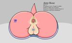  amy_rose anus butt clitoris cum female fur gaping gaping_anus hedgehog lagomorph lil_scooter56 mammal pink_fur presenting presenting_pussy pussy rodent solo sonic_(series) tattoo through_wall video_games 