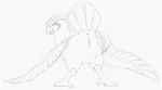  2015 animal_genitalia anus avian beak bird butt claws female feral looking_at_viewer monochrome nintendo nude pencil_(artwork) pidgeot pok&eacute;mon presenting presenting_hindquarters pussy simple_background sketch solo traditional_media_(artwork) video_games wings yaroul 