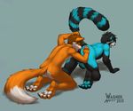  anal anthro canine duo fox male male/male mammal oral penis raised_tail red_panda rimming sex tail_grab wagnermutt 