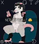  2015 anthro bean_bag beanie birdsmooch brown_eyes cboy cellphone clothing cuntboy digital_media_(artwork) english_text fur hair hat intersex looking_at_viewer mammal marsupial nipples nude opossum peace phone pussy selfie simple_background sitting smile snapchat solo text 