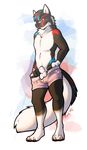  anthro balls blue_eyes canine clothing fur looking_at_viewer male mammal nowandlater paws red_eyes shadowthedemon sheath solo standing underwear wolf 