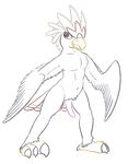  anthro avian beak bird braviary claws eagle erection feathers looking_at_viewer nintendo nude open_mouth penis pok&eacute;mon posexe simple_background solo talons video_games white_background wings 