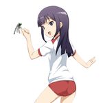  alternate_costume ass bug buruma caryo dragonfly gym_uniform insect long_hair looking_at_viewer looking_back lowres midori_boushi open_mouth purple_eyes purple_hair simple_background smile solo white_background working!! yamada_aoi 