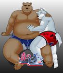  bear bulge butt canine clothing colored iwano male male/male mammal simple_background underwear 