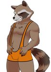 anthro guardians_of_the_galaxy male mammal purico raccoon rocket_raccoon solo wrestling_singlet 