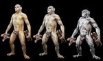  ape baboon fur hair mammal monkey nude penis primate 
