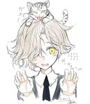 absurdres ahoge animal animal_on_head arms_up black_neckwear blush claw_pose fangs flying_sweatdrops gao gokotai gokotai's_tigers hair_over_one_eye highres kuronuko_neero light_brown_hair looking_at_viewer male_focus necktie on_head open_mouth simple_background solo tiger touken_ranbu upper_body white_background white_tiger yellow_eyes 