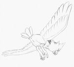  2015 anus avian beak bird feathered_wings feathers female feral flying looking_down monochrome nintendo pencil_(artwork) pok&eacute;mon pussy rear_view simple_background sketch solo spearow spread_wings talons traditional_media_(artwork) video_games white_background wings yaroul 