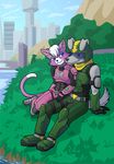  armor bill_grey canine cat city clothed clothing dog duo feline female grass katt_monroe male male/female mammal nintendo sitting smile star_fox thekc video_games water 