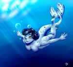  bubble female freckles harp_seal katerina katya looking_up mammal pawpads paws sea seal smile solo temari-brynn underwater water 