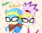  bandanna blaze_the_cat eyewear feline glasses green_eyes headband hedgehog mammal sonic_(series) sonic_boom sonic_the_hedgehog unichrome-uni yellow_eyes 