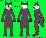  anthro canine dog green_background male mammal max model_sheet nowaroncorn_(artist) nude simple_background solo wolf 
