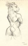  2015 butt female lagomorph mammal nude rabbit scale_(artist) sketch solo 