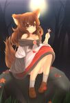  akatsuki_no_guuru animal_ears autumn_leaves blush breasts brooch brown_hair cleavage dress full_moon highres imaizumi_kagerou jewelry leaf long_hair long_sleeves medium_breasts moon red_eyes rock sitting sitting_on_rock smile solo tail touhou tree wolf_ears wolf_tail 