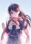  brown_hair coat highres iki_hiyori instocklee long_hair md5_mismatch noragami pink_eyes scarf shrine smile snow solo tail 