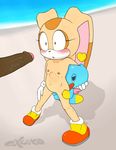  2015 abdominal_bulge anal anal_penetration anthro big_penis blush chao cheese_the_chao chocola_the_chao cream_the_rabbit dark_penis excito female flat_chested from_behind lagomorph male mammal penetration penis public rabbit sonic_(series) sweat young 