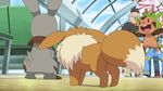  3boys animated animated_gif black_hair blonde_hair bunnelby chespin citron_(pokemon) eevee hat multiple_boys pikachu pokemon pokemon_(anime) pokemon_xy satoshi_(pokemon) scared tierno_(pokemon) 