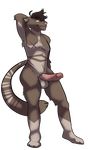  brown_fur cat erection feline fur humanoid_genitals humanoid_penis male mammal ovenbutt_(artist) penis scar solo thrush_(character) 