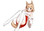  :3 animal_ears bare_shoulders blush brown_eyes chocola_flex detached_sleeves eyebrows fang hakama_skirt japanese_clothes light_brown_hair miko open_mouth original ribbon-trimmed_sleeves ribbon_trim short_hair smile solo tabi tail thighhighs w white_legwear wolf_ears wolf_tail 