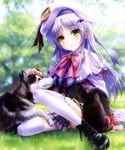  :o absurdres angel_beats! bat_hair_ornament belka beret blurry blush boots bow cape company_connection cosplay cross-laced_footwear depth_of_field dog goto_p grass hair_ornament hat highres key_(company) little_busters! long_hair noumi_kudryavka noumi_kudryavka_(cosplay) on_ground petting plaid plaid_skirt pleated_skirt scan school_uniform silver_hair sitting skirt strelka sunlight tenshi_(angel_beats!) thighhighs tongue tongue_out tree white_legwear yellow_eyes 